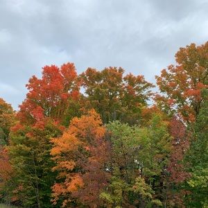 Meet your Posher, Marlene